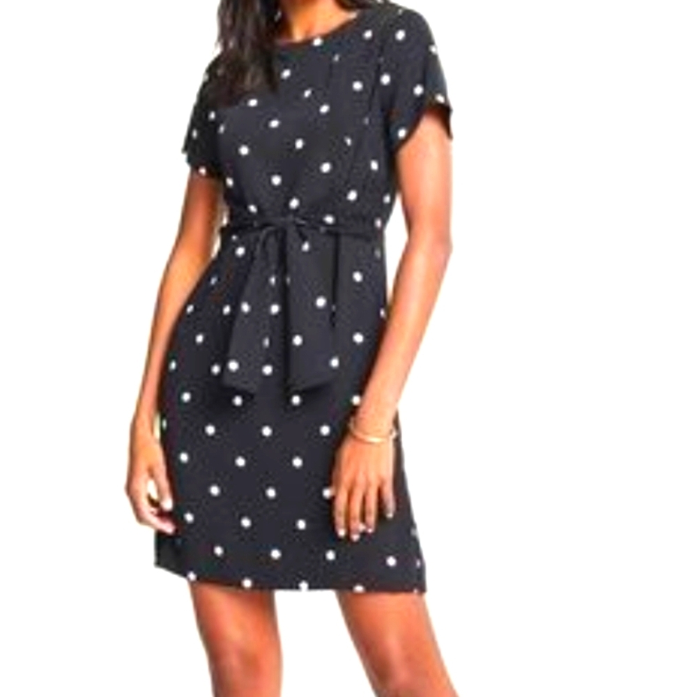 Ann Taylor Black and White Polka Dot Short Sleeve Dress With Tie Sz 16